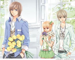 传媒在线免费观看入口